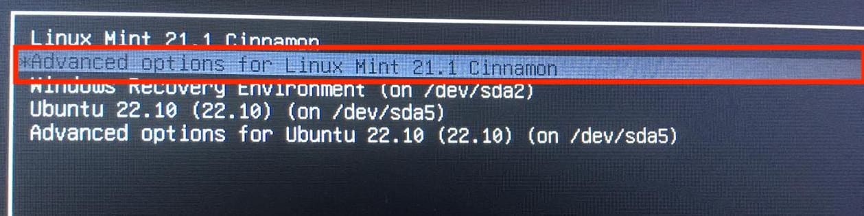 advanced options for linux mint