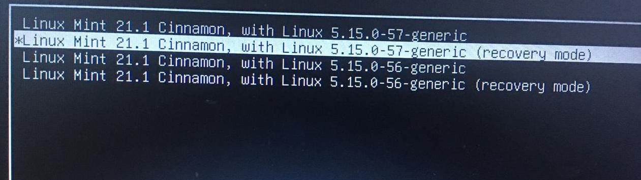 linux mint recovery mode