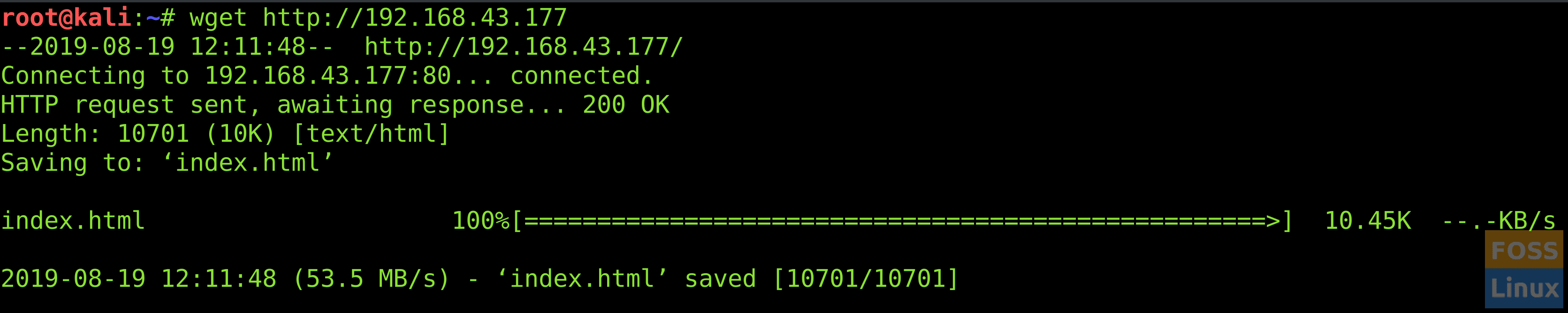 netctl command details