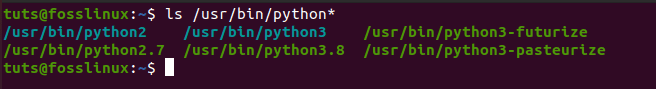 Check all the installed Python versions in the bin directory