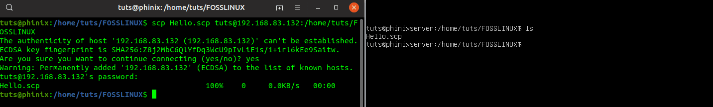 Copy a single file from the local host to a remote host