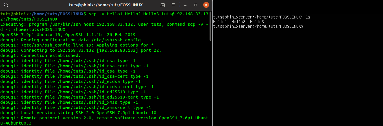 Copying files with SCP with the verbose output