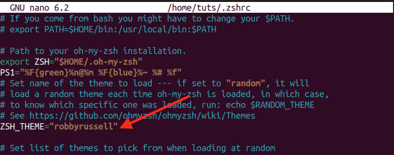 oh my zsh default theme