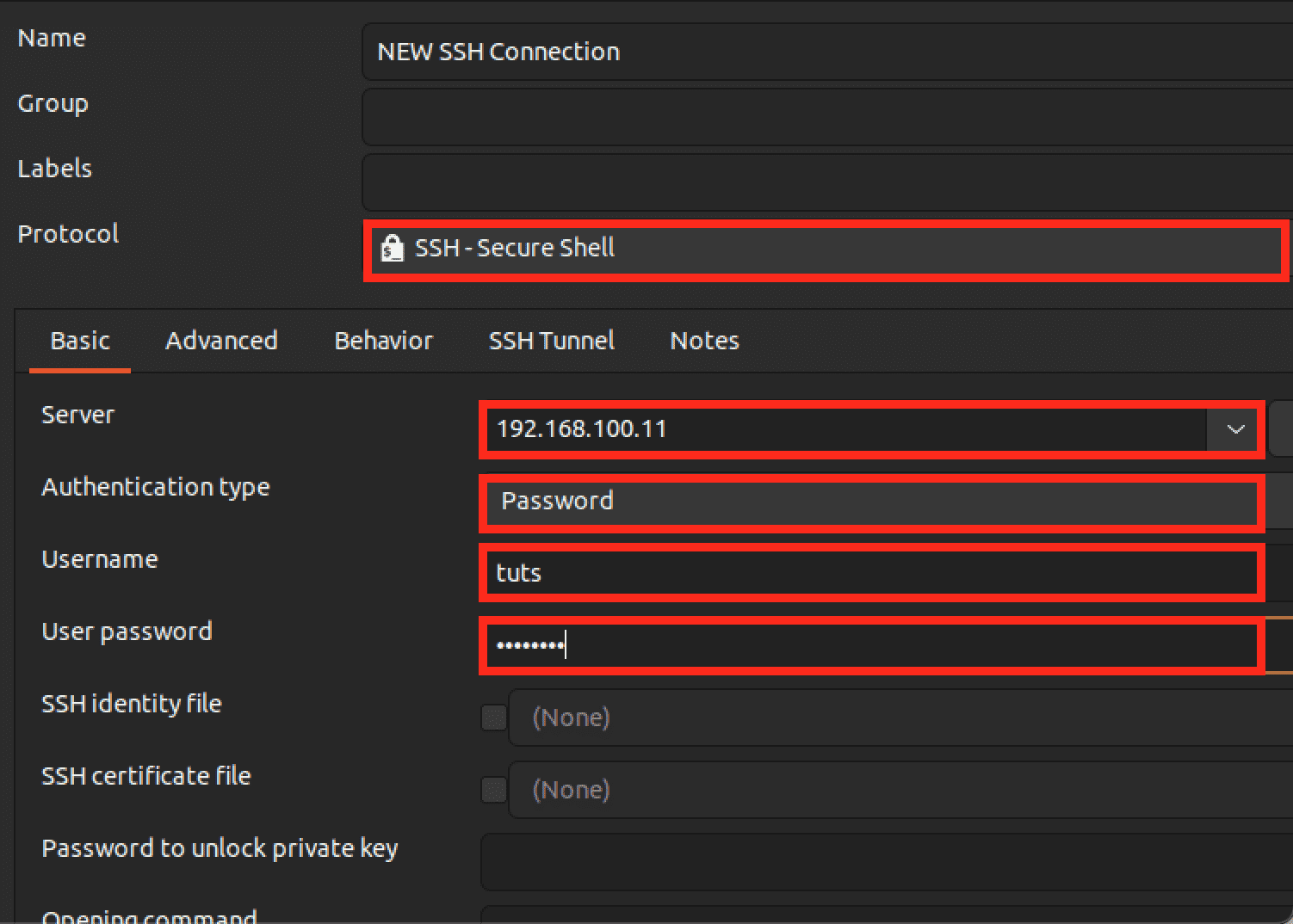 setup ssh connection