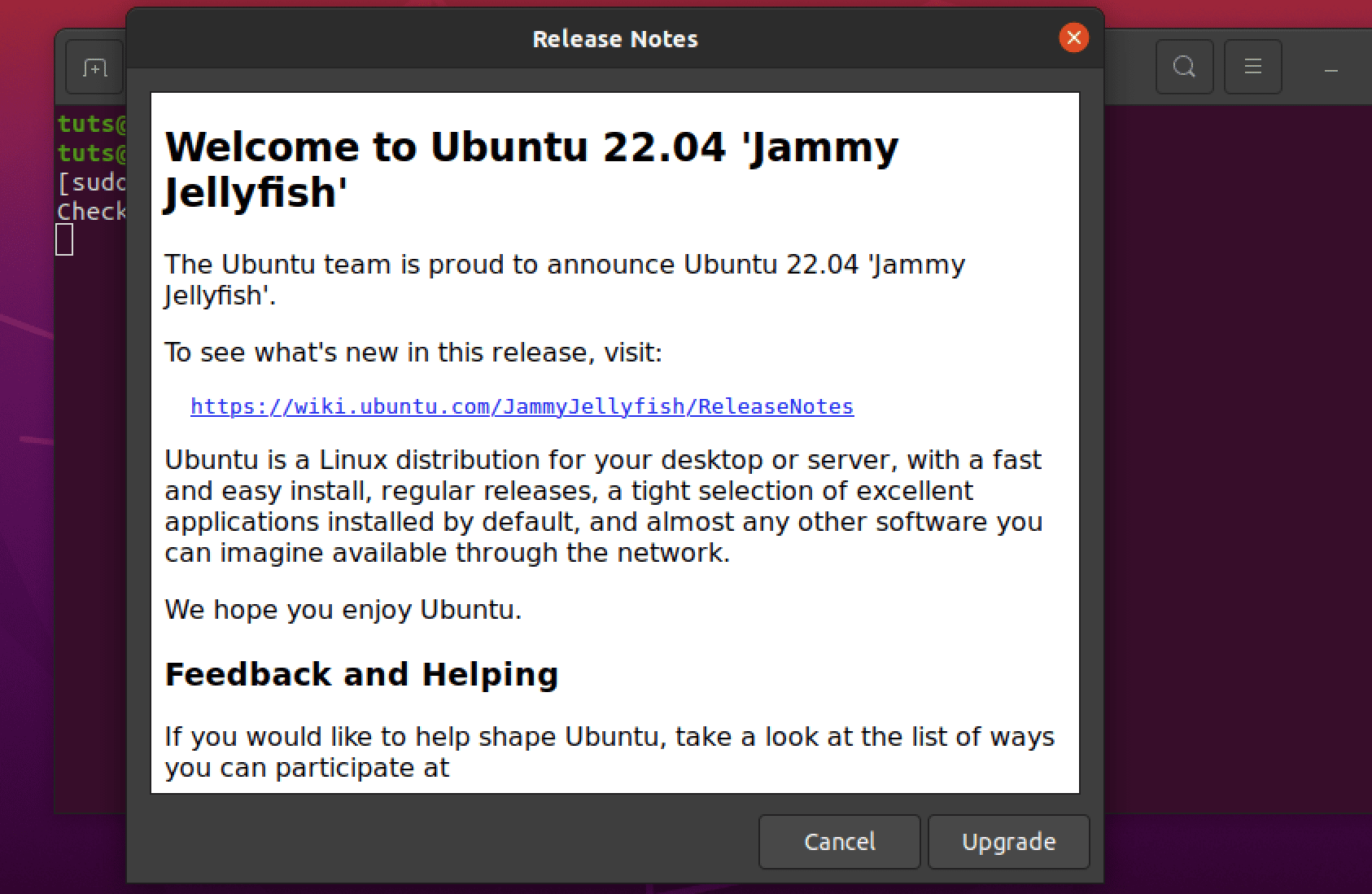 upgrade ubuntu