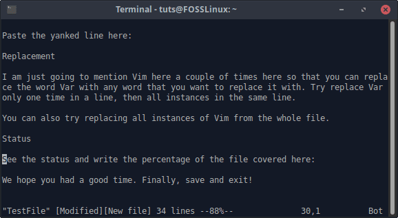 Vim Status